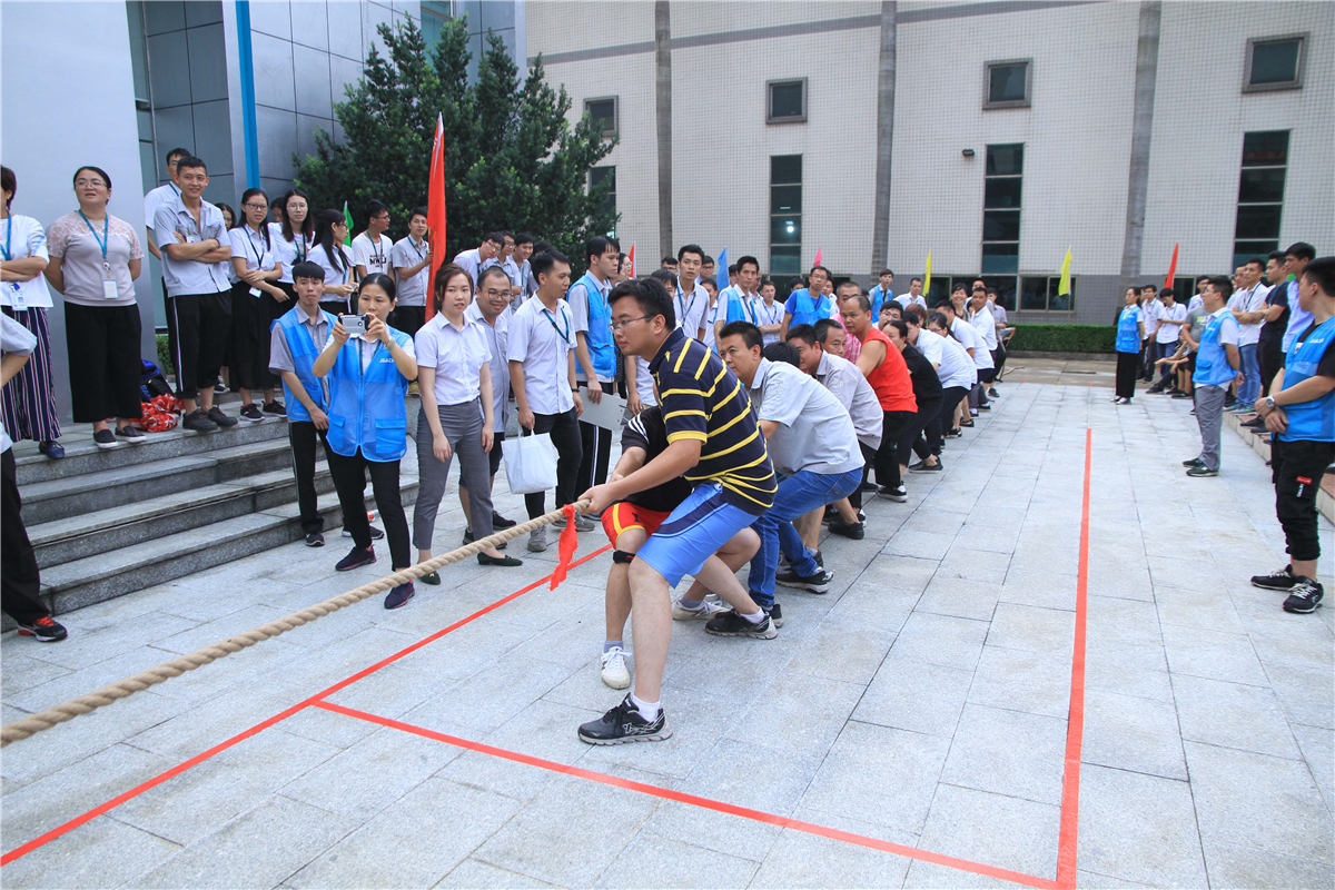 IMG_8803.jpg IMG_8803.jpg